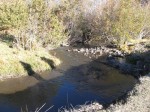 Colorado Trout Stream