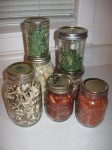 A small sampling of my dehydrated goodies...