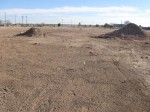 Planned orchard